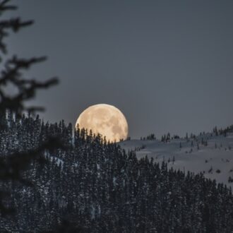 立春前夜に満ちる月。2026年2月の満月は２日（月）7時09分。満月注意報、心と身体を整えて
