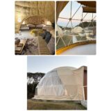 ライフスタイル