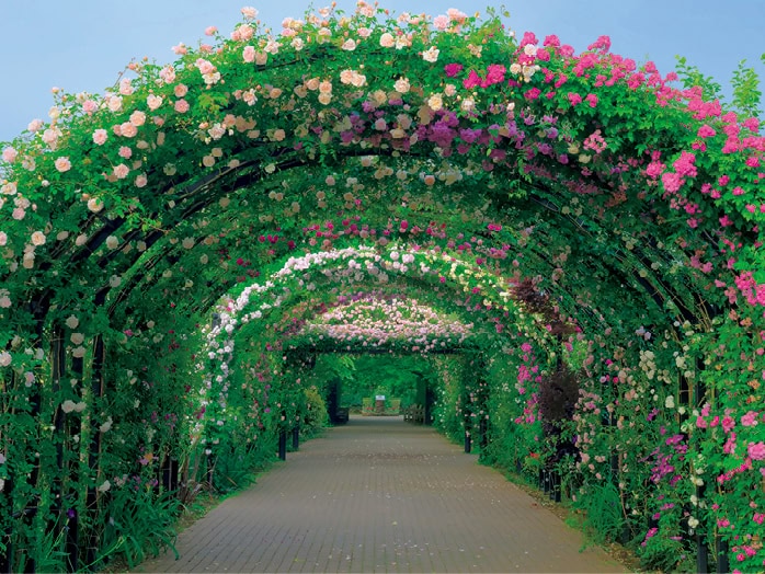 英国式庭園で愛でる美しく芳しいバラ 横浜イングリッシュガーデン DATA 横浜市西区西平沼町6-1