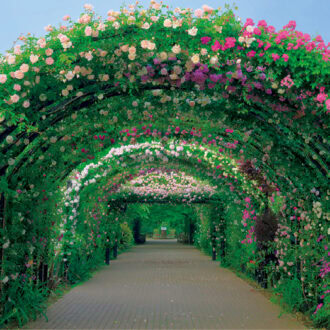 恋愛の運気が動き出す、2026年“開運スポット【横浜イングリッシュガーデン】｜琉球風水志・シウマさんがナビゲート！ 