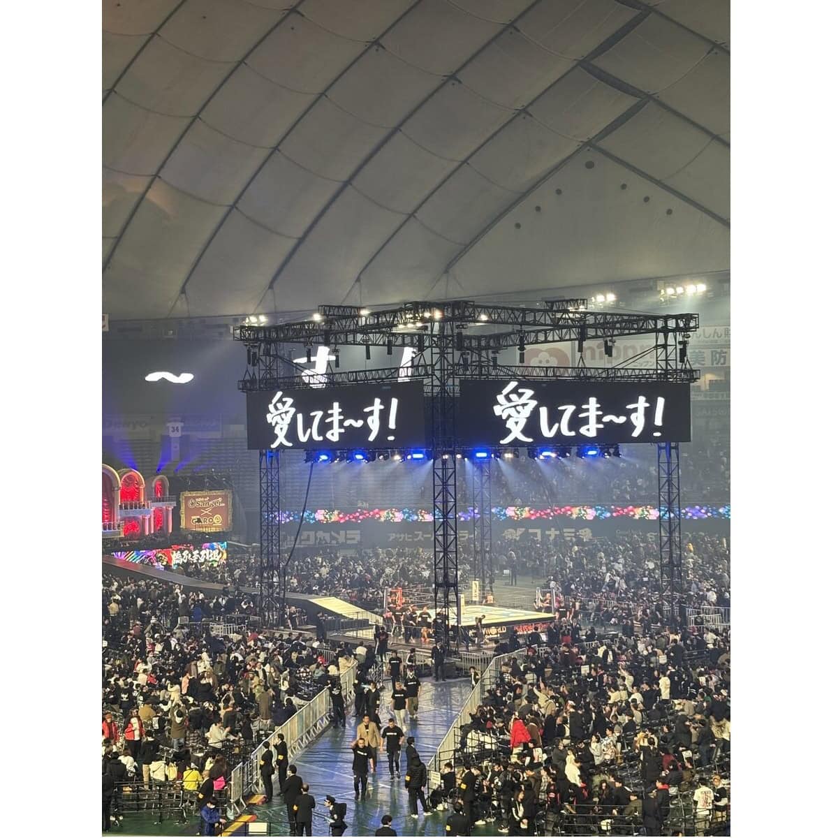 プロレスを好きになってよかった！