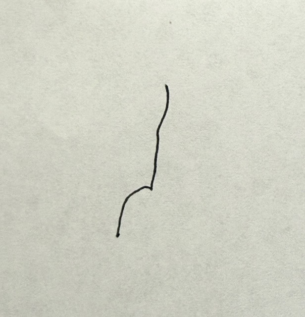 このイラストは何に見えますか?