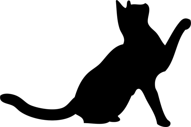 黒猫を選んだあなた