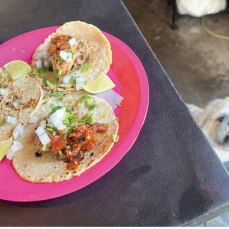 4.品川にある犬も同伴できるタコス店にて。