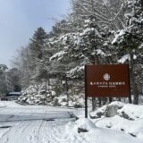 ライフスタイル