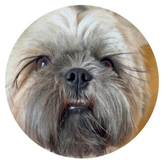 スクービーさんのインスタをcheck!　@scooby_is_the_shiht