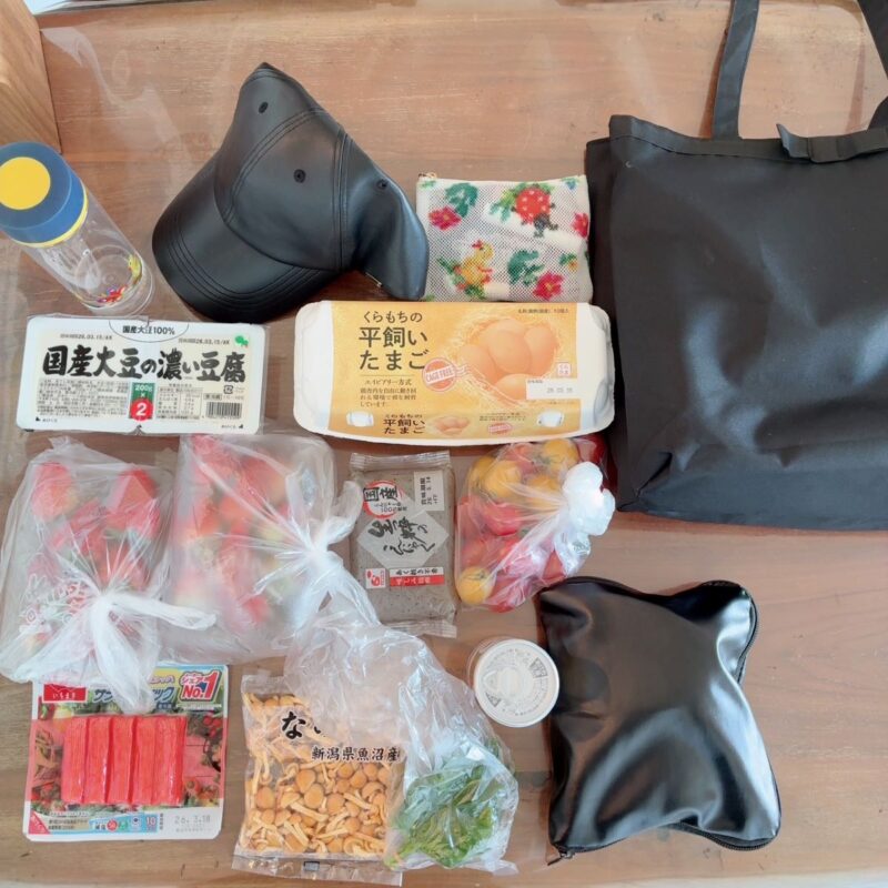 スーパーにエコバッグを忘れてもこんなに入る大容量