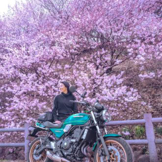 まずは、都心から１時間の南足柄市『春めき桜』へ