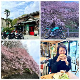 【40代旅行】心を満たす南足柄市の『春めき桜』・お腹を満たす『Ashigara Base AZ』素敵な春探しにプチトリップ！｜かがやき隊 角藤千種