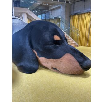 「代官山」のニューホットスポット！「タンバリンズ 代官山フラッグシップストア」オープン！
