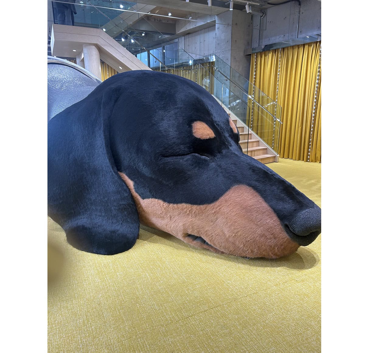 「タンバリンズ 代官山フラッグシップストア」オープン！