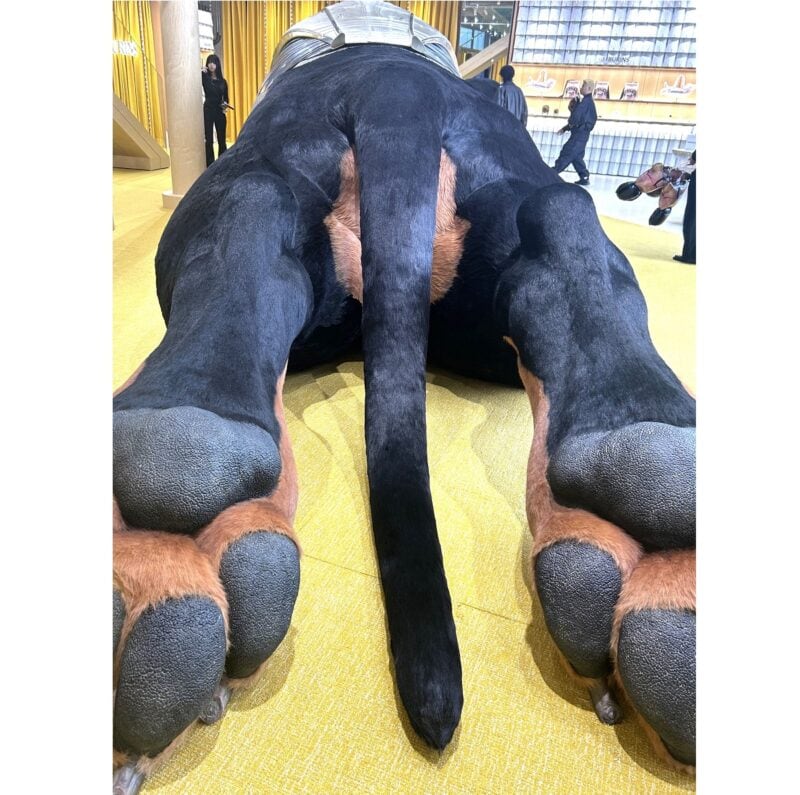 入り口を入ると、すぐに13mの巨大なダックスフンドのサンシャインくんがお出迎え。