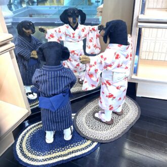 2階でも見つけました、サンシャイン2匹! 浴衣を来て、鏡越しにゲストをお見送りしてくれます。