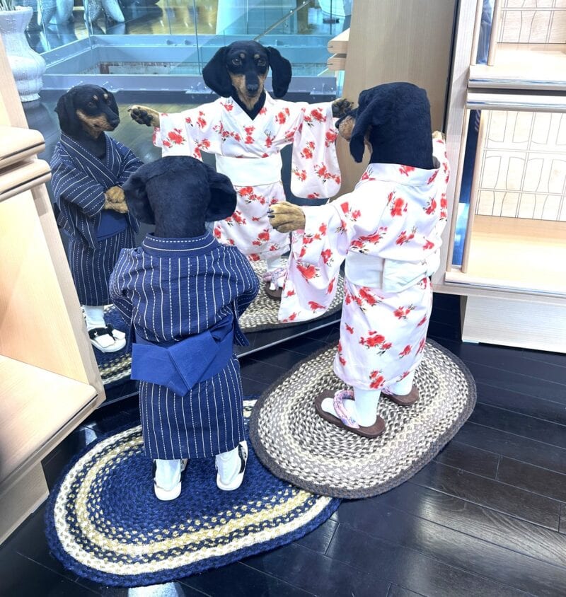 2階でも見つけました、サンシャイン2匹! 浴衣を来て、鏡越しにゲストをお見送りしてくれます。