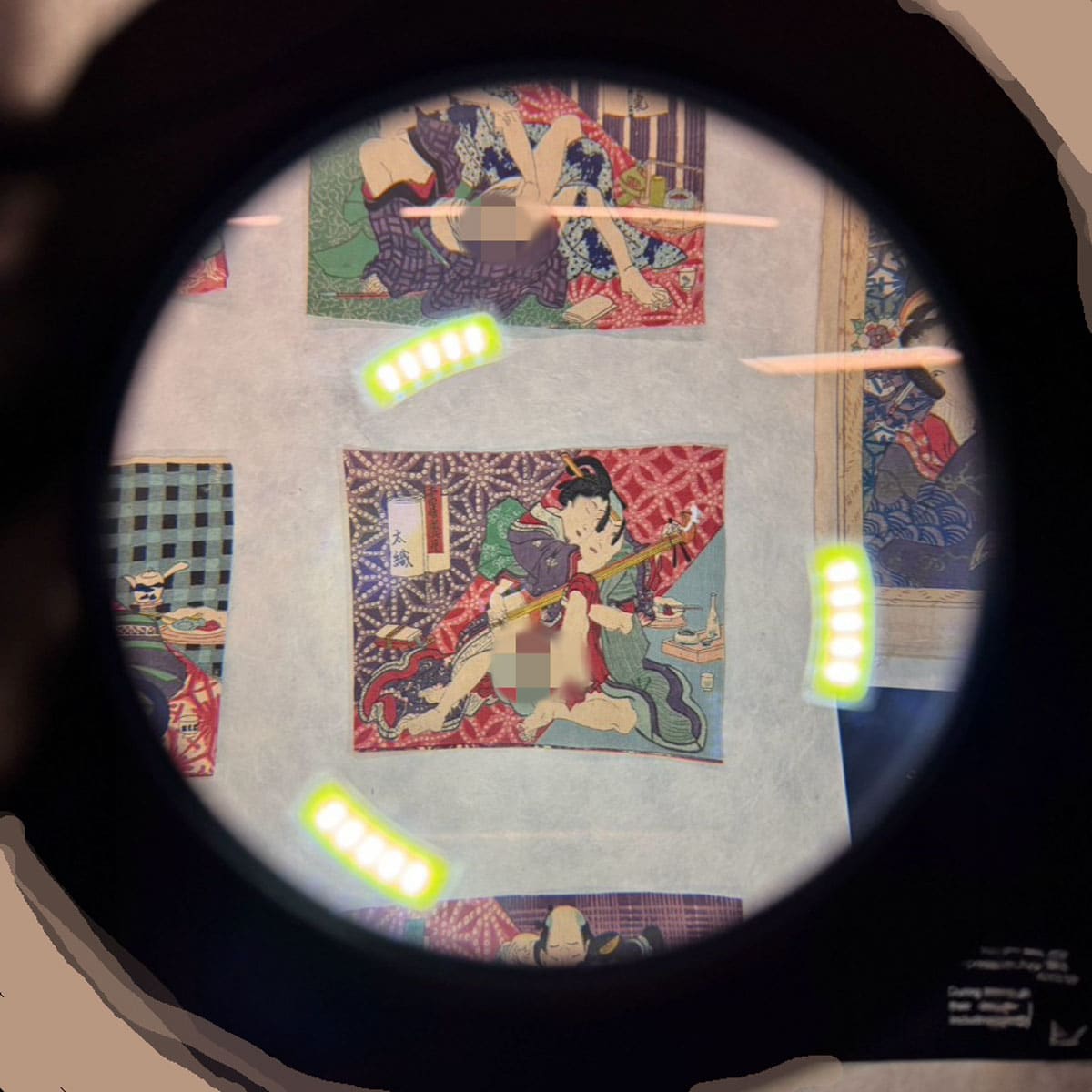 とても鮮やかで今どきの色彩