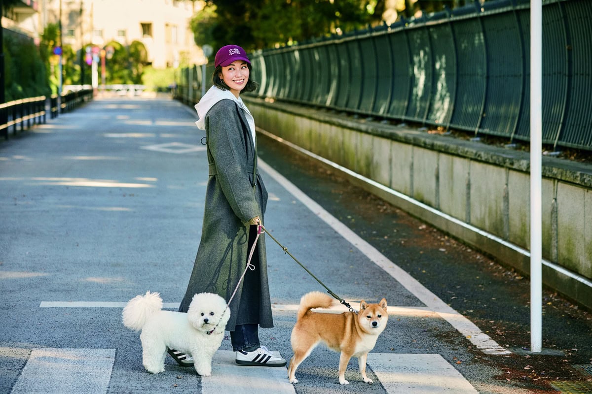 愛犬の散歩は朝の癒しのひと時
