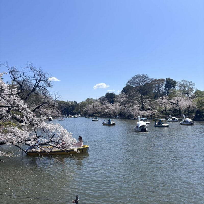 美味しいパンで心のリフレッシュを