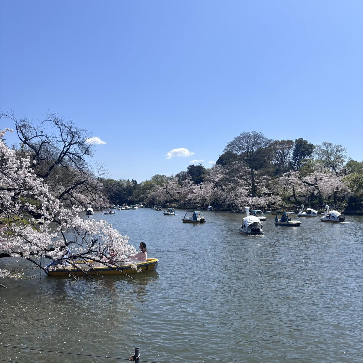 美味しいパンで心のリフレッシュを