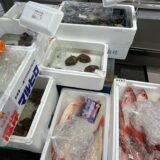 【オオゼキ】の逆襲！池尻店は飲食店のシェフが買い付ける、プロ御用達人気店に進化していた！