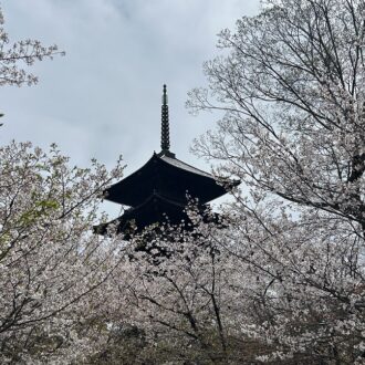 【40代旅】料理好きの人へ！大人の京都旅で訪れたい場所はココ！