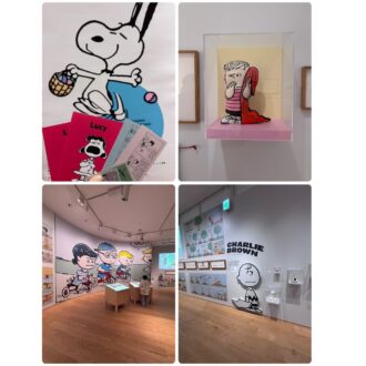 見どころ①ここでしか見られない展示