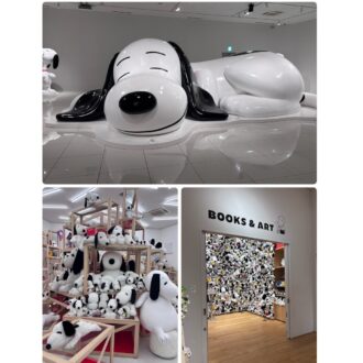 見どころ②写真スポットがとにかく可愛い