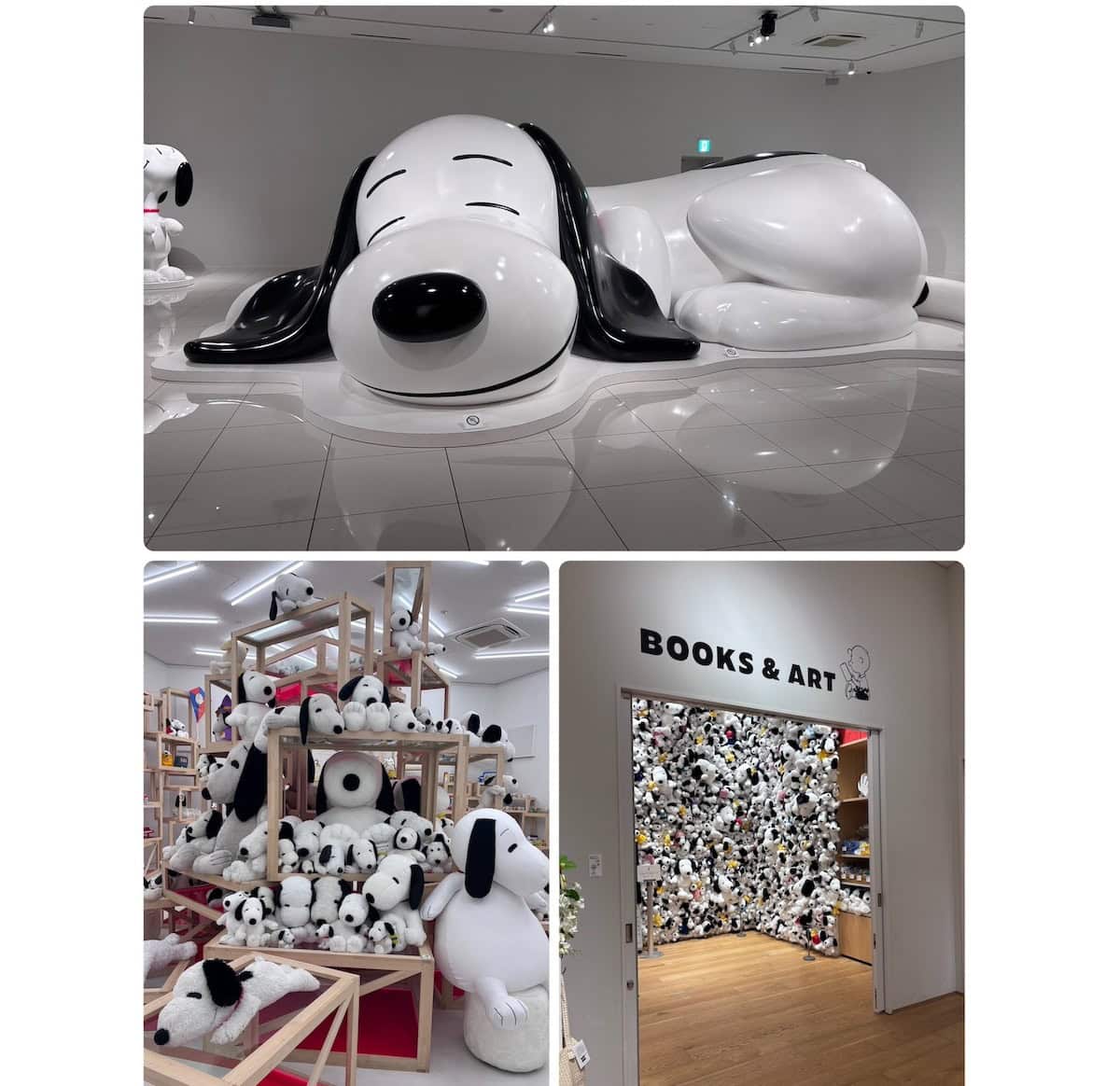 見どころ②写真スポットがとにかく可愛い