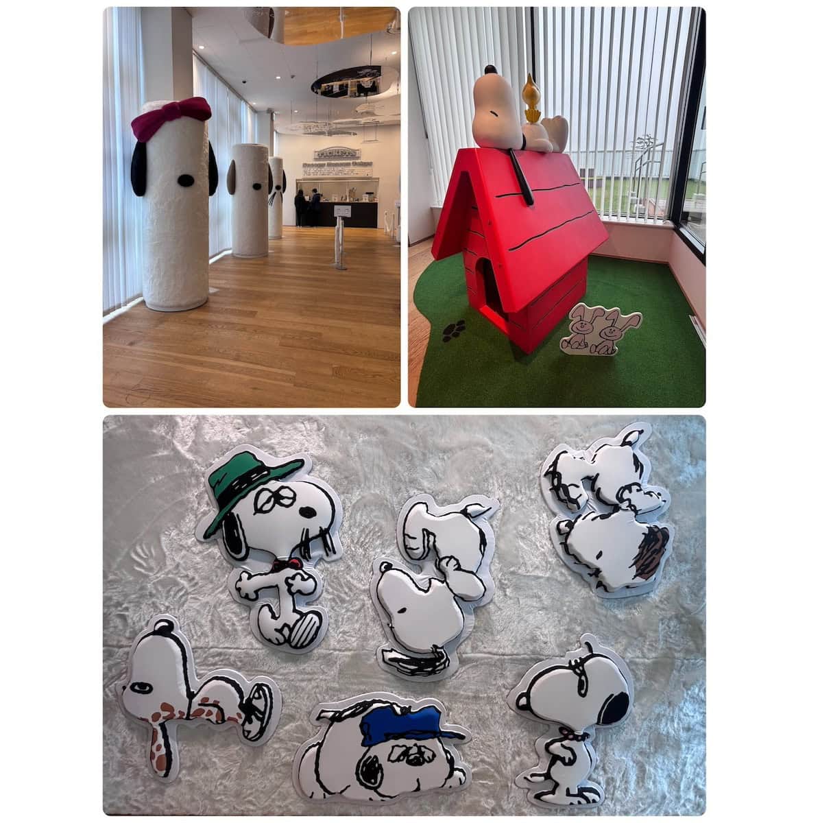 おすすめの理由は