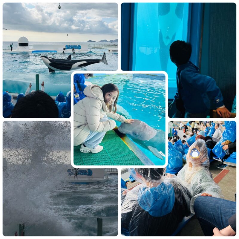 鴨川シーワールド