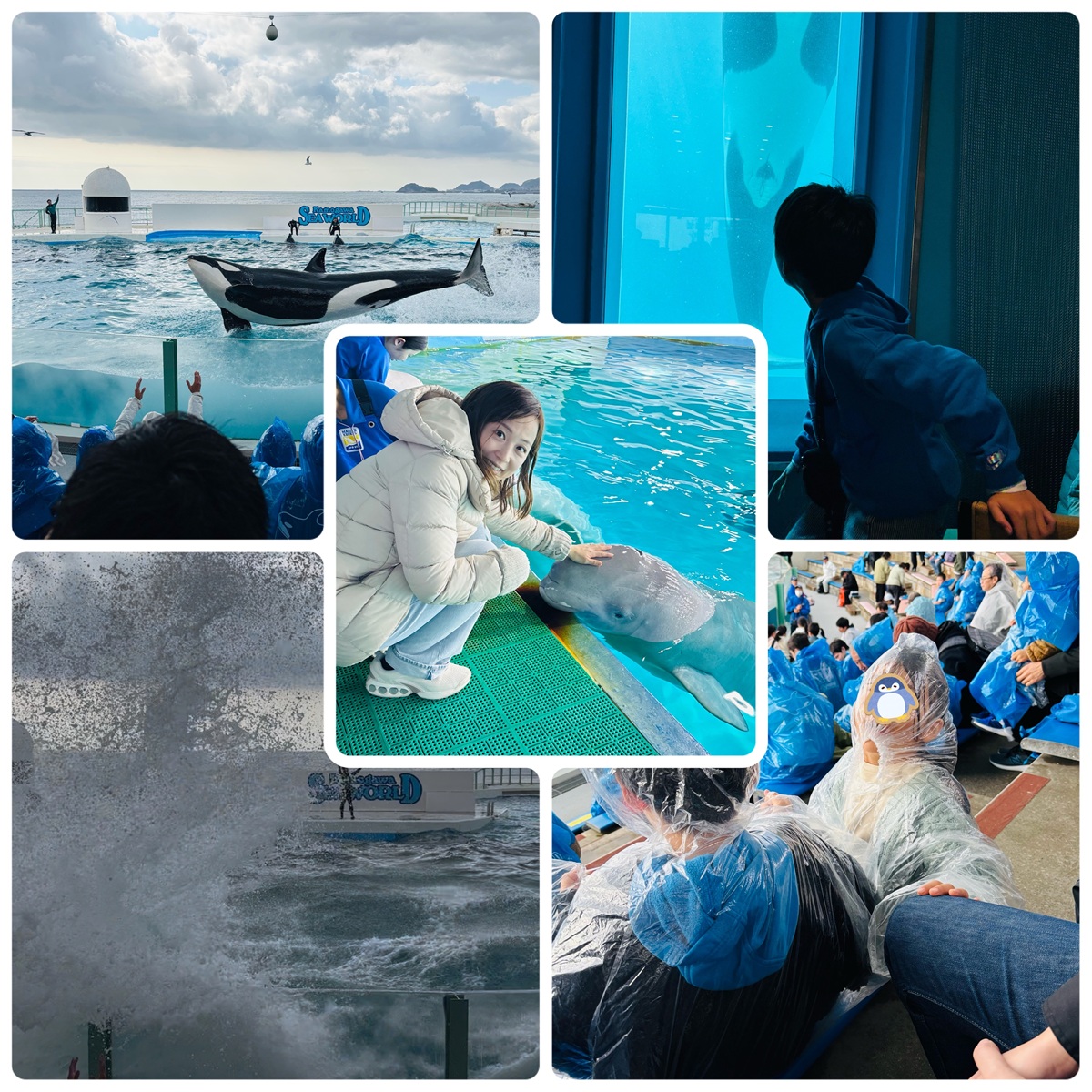 鴨川シーワールド