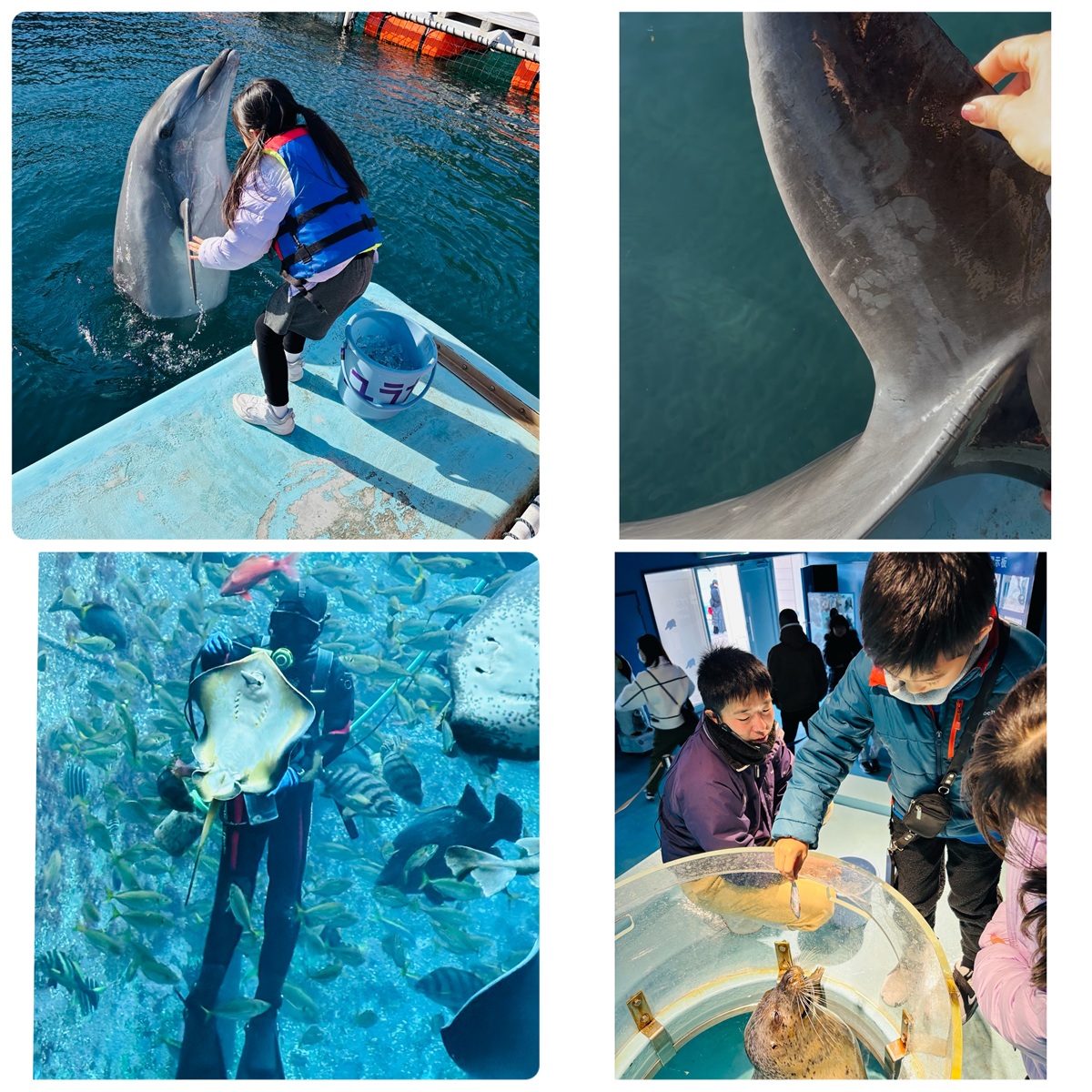 下田海中水族館
