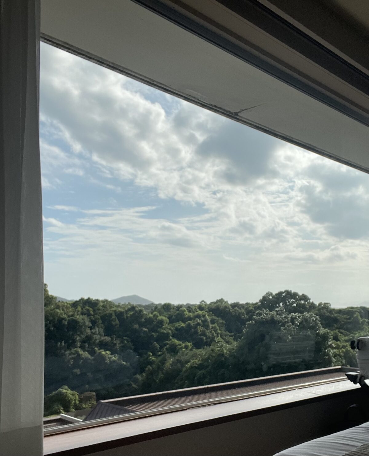 5月高本ブログ