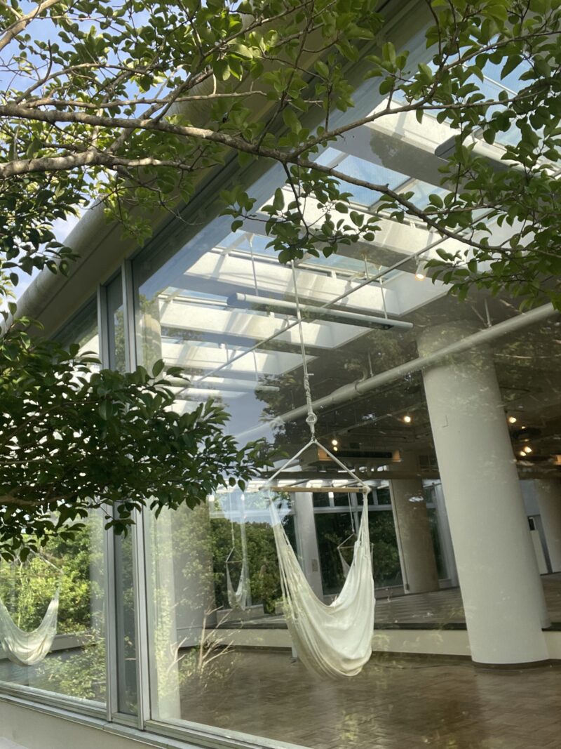 5月ブログ高本
