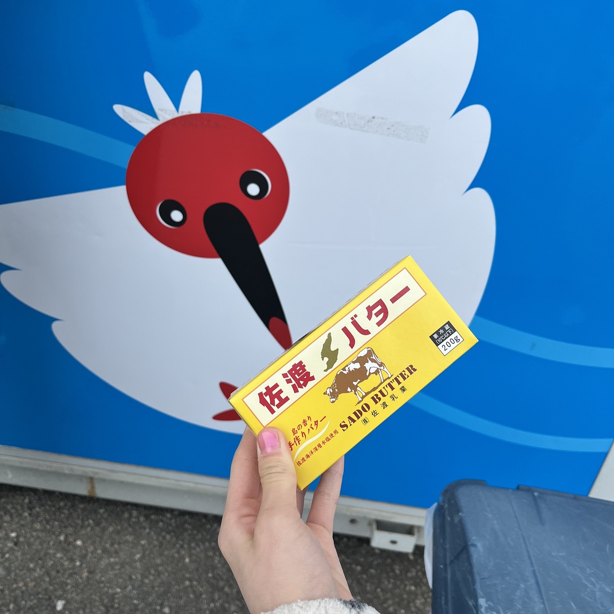 トキと一緒に