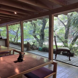 川の音が心地いい、小鳥のさえずりも