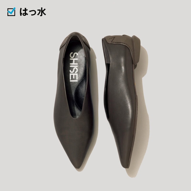 はき口のVカットとポインテッドトゥがクール。足を深く包み込む形ではきやすい。3万6300円（シーセイ）