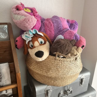 見せる収納とはいえ子どもっぽすぎて悩みの種