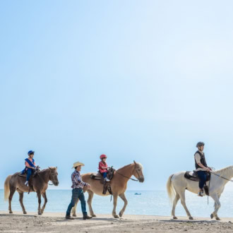 黒松林の間や海辺を歩く乗馬のアクティビティも
