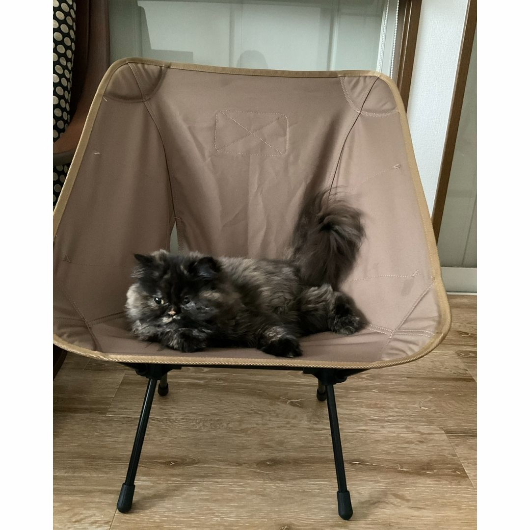 保護猫ヘムヘムとヘリノックスチェア