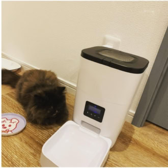 自動給餌器の前でひたすらご飯を待ち望むヘムヘム
