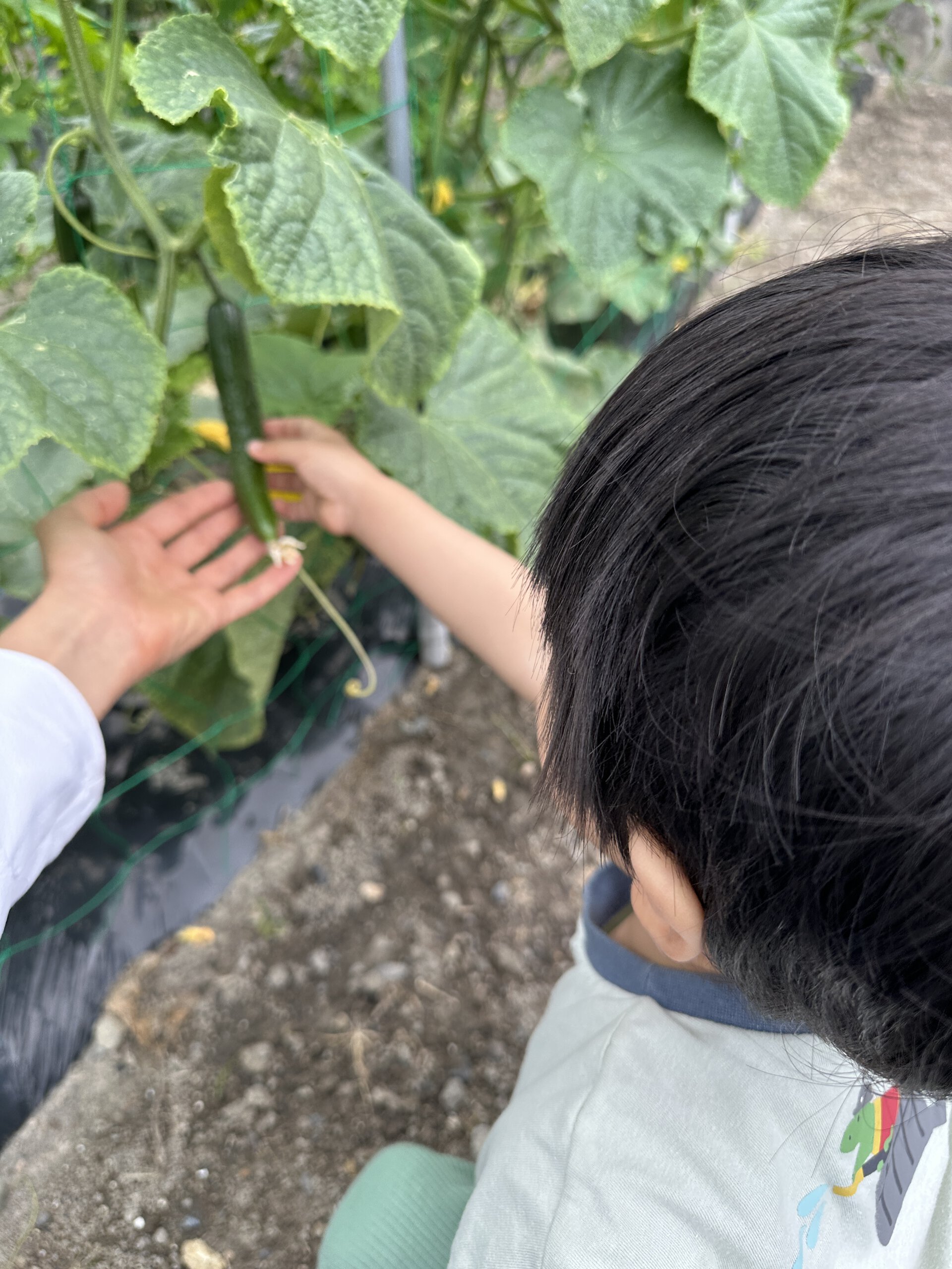 8月分ブログ