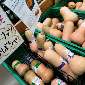 ひょうたんみたいなバターナッツ