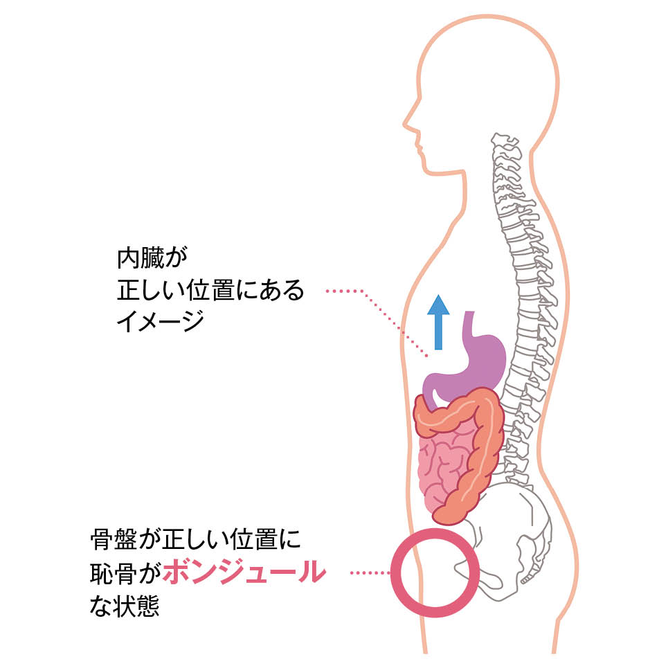 脚の付け根に手を当て、お腹から太ももまで平らになっていればＯＫ！ お腹が縦に伸び、自然と恥骨ボンジュールな状態に。