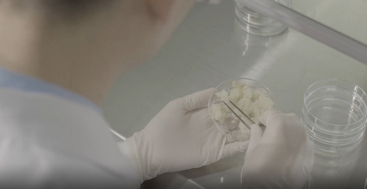 マーケティングより「肌のため」を最優先。タリダクムの引き算哲学