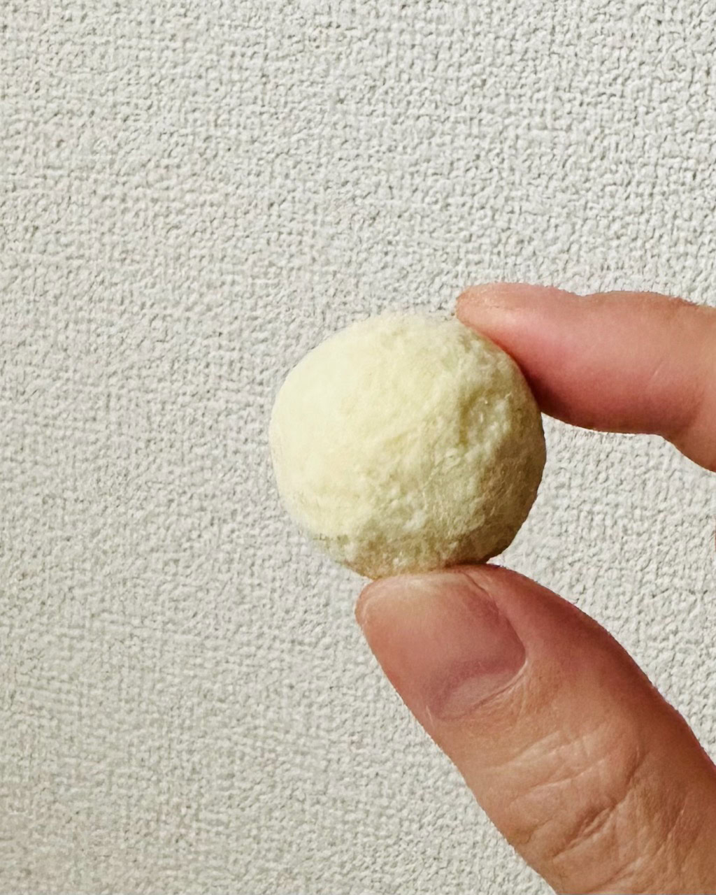 六花亭 札幌本店でしか買えないカンパーナふらの本体(生ぶどうをホワイトチョコレートでコーティング)