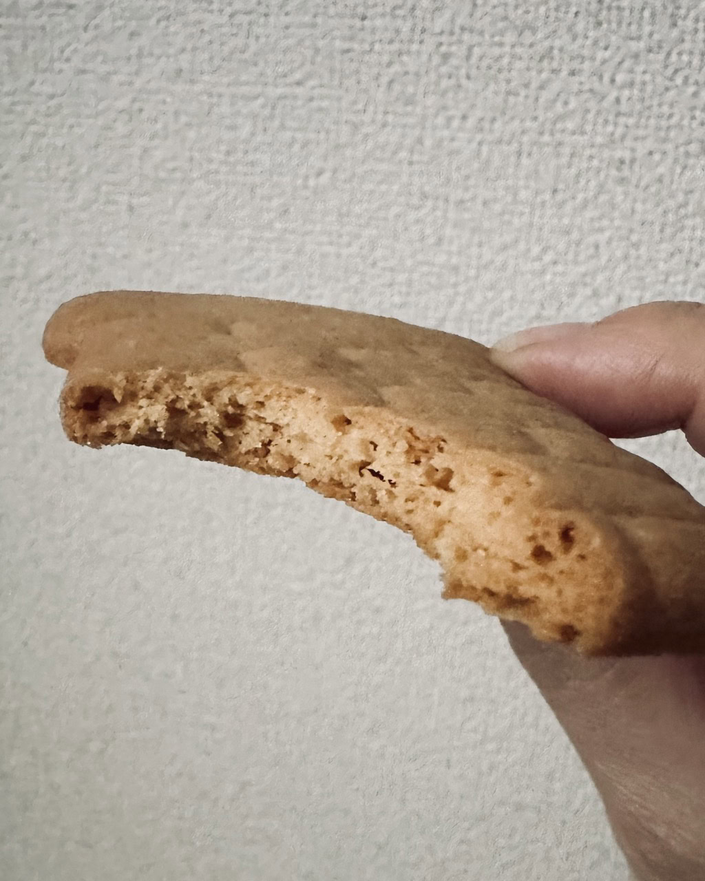 六花亭 直営店でしか買えない限定チーズサブレ「リッチランド」の断面